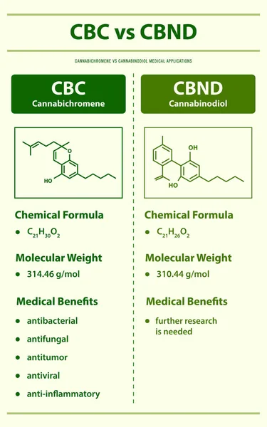 Cbc Cbnd Cannabichromene Canabinodiol Ilustração Infográfica Vertical Sobre Cannabis Como — Vetor de Stock