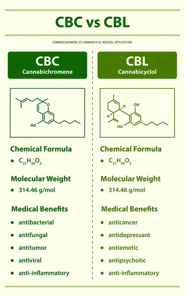 Cbc Cbd Cannabichromene Cannabidiol Ilustración Vertical Infografía Sobre Cannabis Como — Archivo Imágenes Vectoriales