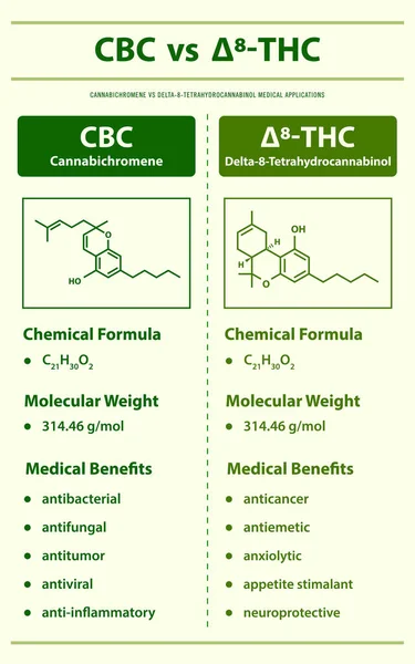 Cbc Thc Cannabichromene Delta Tetrahydrocannabinol Οριζόντια Infographic Εικονογράφηση Για Την — Διανυσματικό Αρχείο