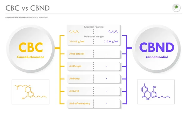 Cbc Cbnd Cannabcroromene Cannabinodiol Illustrazione Infografica Orizzontale Aziendale Sulla Cannabis — Vettoriale Stock