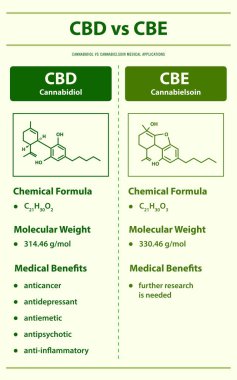 CBD vs CBE, Cannabidiol vs Cannabielsoin dikey bilgi grafiksel illüstrasyonunda esrar bitkisel alternatif tıp ve kimyasal terapi, sağlık ve tıbbi bilim vektörü olarak gösterilir.
