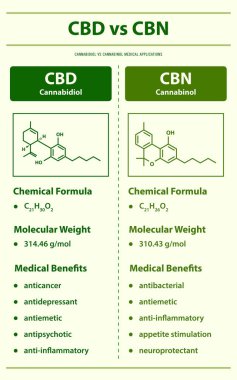 CBD vs CBN, Cannabidiol vs Cannabinol dikey bilgi grafiği esrar hakkındaki bitkisel alternatif tıp ve kimyasal terapi, sağlık ve tıbbi bilim vektörü.