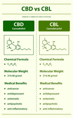CBD vs CBL, Cannabidiol vs Cannabicyclol dikey bilgi grafiksel illüstrasyonu bitkisel alternatif tıp ve kimyasal terapi, sağlık ve tıbbi bilim vektörü olarak esrar hakkında.
