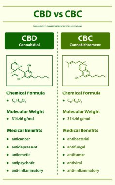 CBD vs CBC, Cannabidiol vs Cannabichromene vs Cannabichromene dikey bilgi grafiksel illüstrasyonu bitkisel alternatif tıp ve kimyasal terapi, sağlık ve tıbbi bilim vektörü olarak esrar hakkında.