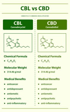 CBL vs CBD, Cannabicyclol vs Cannabidiol - Cannabidiol dikey bilgi grafiksel illüstrasyonu bitkisel alternatif tıp ve kimyasal terapi, sağlık ve tıbbi bilim vektörü olarak esrar hakkında.