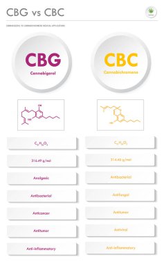 CBG vs CBC, Cannabigerol vs Cannabichromene vs Cannabichromene dikey iş bilgisi esrarın bitkisel alternatif tıp ve kimyasal terapi, sağlık ve tıbbi bilim vektörü olarak gösterilmesiyle ilgili bilgi.
