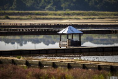 Tuz buharlaştırma göleti, deniz suyundan tuz çıkarmak için tasarlanmış sığ bir yapay tuz tavası.