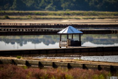 Tuz buharlaştırma göleti, deniz suyundan tuz çıkarmak için tasarlanmış sığ bir yapay tuz tavası.