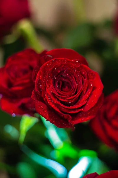 Rocío Ramo Rosas Rojas — Foto de Stock