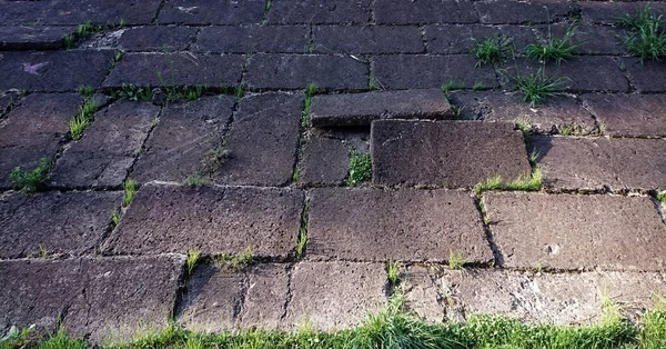 Pozadí textura starých betonových desek se posunula a vyrašila tráva — Stock fotografie