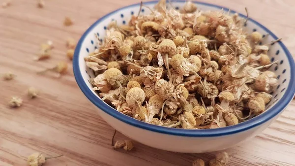 Manzanilla Analgésico Natural Pero También Sabe Bien Como Estas Flores —  Fotos de Stock