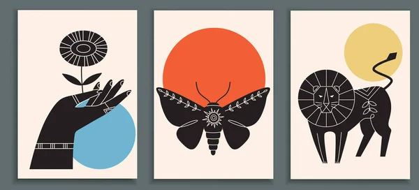 Abstract poster collection with animals, insects, hand holding flowers. Set of contemporary scandinavian art print templates with lion and moth. Ink animals with floral ornament and geometrical shapes on the background.