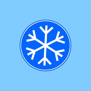 Snowflake icon, winter symbol, template flat graphic design, cold sign, Xmas time, isolated temperature button for app, vector illustration