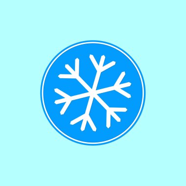 Snowflake icon, winter symbol, template flat graphic design, cold sign, Xmas time, isolated temperature button for app, vector illustration