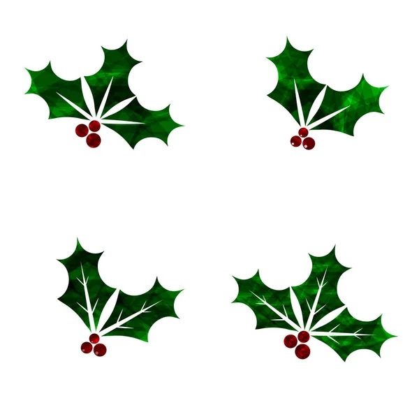 Establecer Iconos Baya Holly Muérdago Navidad Plantilla Diseño Gráfico Símbolos — Vector de stock