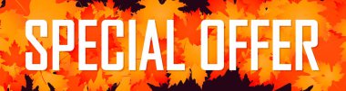 Özel bir teklif. Sonbahar indirimi web pankartı tasarım şablonu, sonbahar indirimi yatay poster, vektör illüstrasyonu
