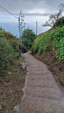 Mantar Madeira 'ya giden levadaların arasında merdivenler.