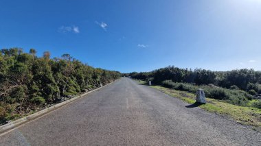 Fanal Ormanı, Madeira 'daki Seixal ve Ribeira da Janela dağları arasında yer alan geniş, antik bir ormandır. Atmosferik defne ağaçları, yosun kaplı gövdeleri ve puslu manzaralarıyla tanınan orman, sakin yürüyüşler ve derin bir bağ sunuyor.