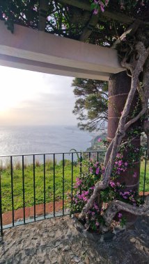 Funchal madeira Körfezi 'nin manzarasını gözetleyen sceanic bölgeden manzara. Muhteşem manzara.