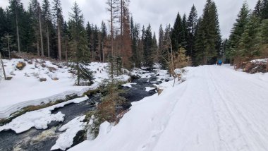 Bohem Orman Çeşmesi 'nde arena kayağı.