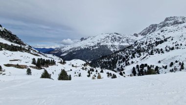 Ağaç Vadisi Fransa 'da Val Thorans' ta kayak yapmak