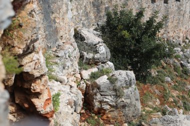 Doğa ve yaşam Gürcistan'ın güzel manzaralarını