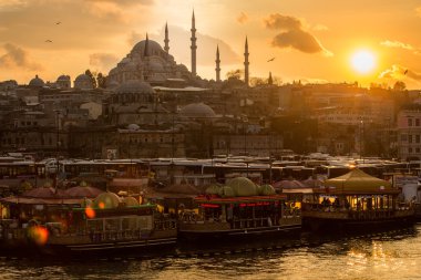 Canlı, insan etkinliği ve Türkiye'de doğa görünümlerini
