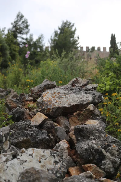 Canlı, insan etkinliği ve Türkiye'de doğa görünümlerini — Stok fotoğraf