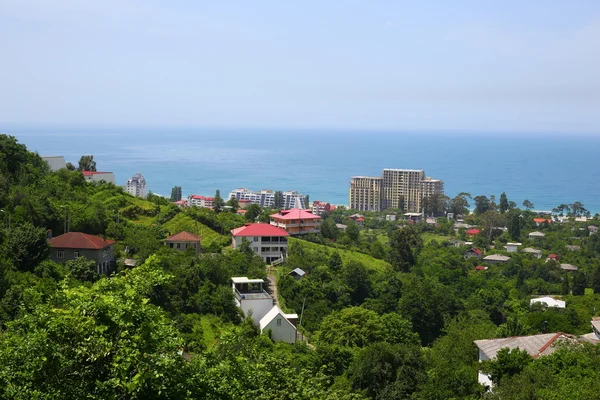 Bella vista della natura e della vita in Georgia — Foto Stock