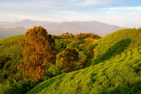 Doğa ve yaşam Gürcistan'ın güzel manzaralarını