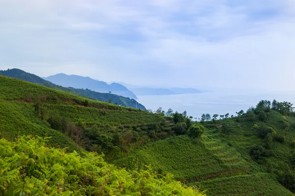 Doğa ve yaşam Gürcistan'ın güzel manzaralarını