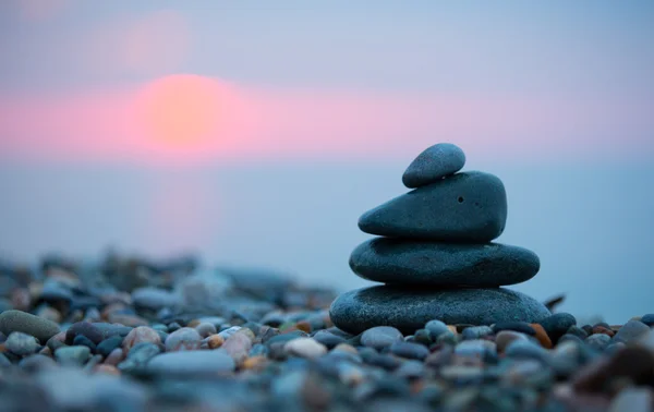 canlı görünümlerini ve Türkiye'de doğa