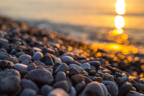 canlı görünümlerini ve Türkiye'de doğa