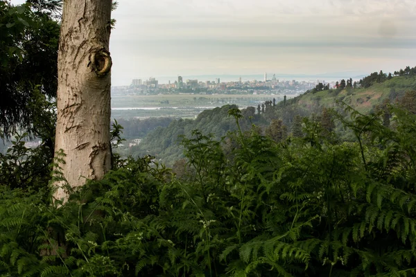 Bella vista della natura e della vita in Georgia Immagine Stock