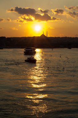 canlı görünümlerini ve Türkiye'de doğa