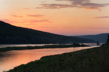 Manzara ve çiçek Ukrayna