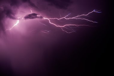 Manzara ve çiçek Ukrayna