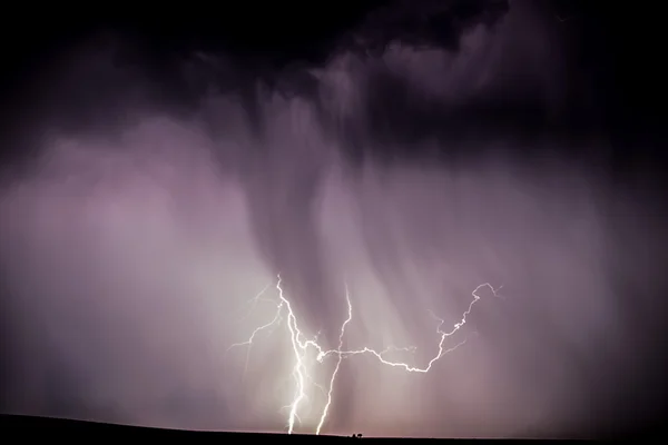 Manzara ve çiçek Ukrayna