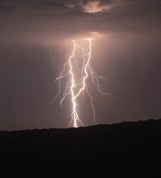 Manzara ve çiçek Ukrayna