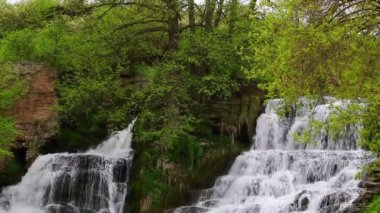 Güzel yer Ukrayna'da sayısı