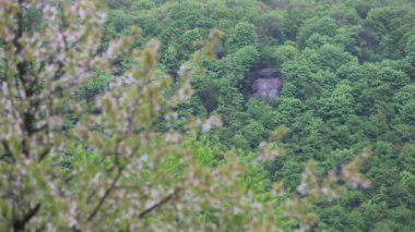 Güzel yer Ukrayna'da sayısı