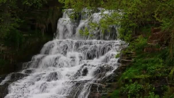 Vedute di bei posti in Ucraina — Video Stock