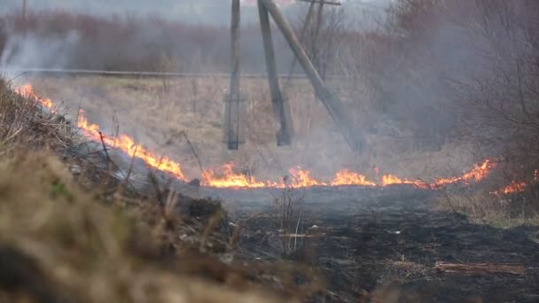 Brand och rök — Stockvideo