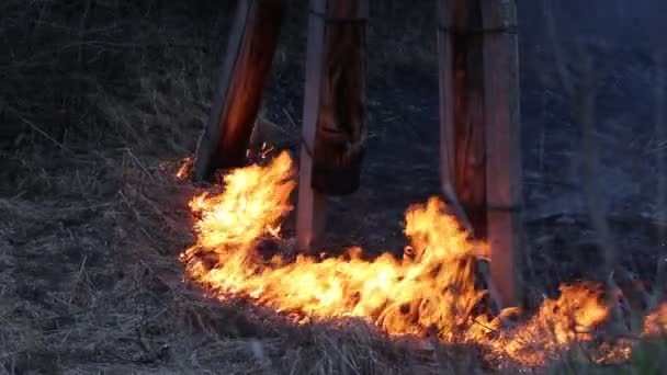 Tűz és a füst — Stock videók