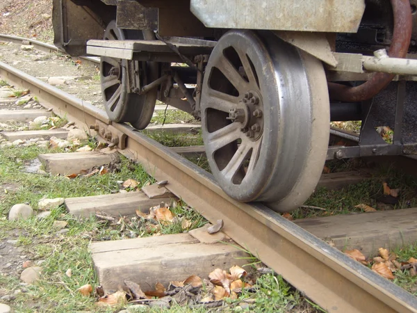 Ferrocarril de vía estrecha — Foto de Stock