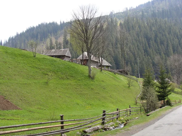 Oekraïne natuur en gebouwen — Stockfoto