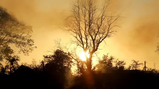 Filmagem - fumaça e pôr do sol — Vídeo de Stock