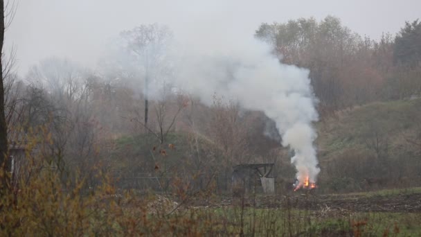 Images - smog, pollution atmosphérique, brume sèche — Video