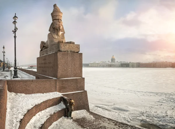 Sphinx in Sint-Petersburg — Stockfoto