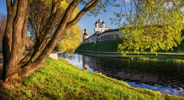 Spring riot of greenery — Stock Photo, Image